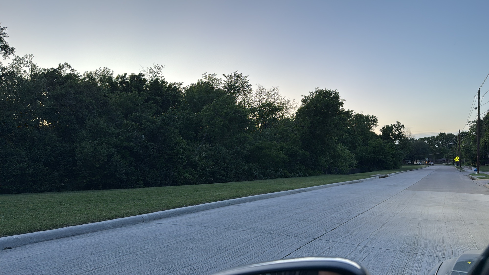 Meandering is creativity not necessarily intelligence